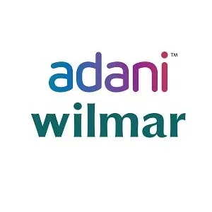 adani1